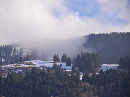 1000 Teile Puzzle,Geschicklichkeitsspiel für Die Ganze Familie - Wälder Berge Schnee 75x50cm 1000 Teile Puzzle,Geschicklichkeitsspiel für Die Ganze Familie - Wälder Berge Schnee 75x50cm von FRUKAT