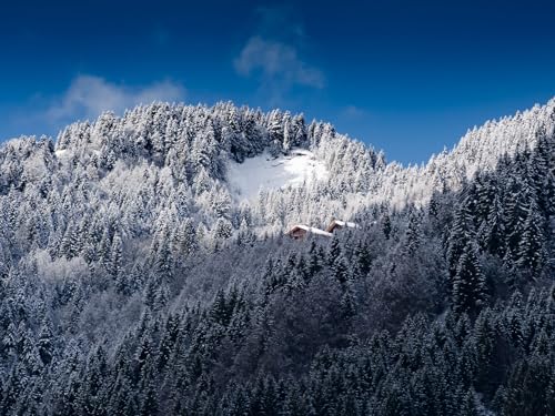 1000 Teile Puzzle,Geschicklichkeitsspiel für die ganze Familie, Alpen, Berge, Schnee 75x50cm 1000 Teile Puzzle,Geschicklichkeitsspiel für die ganze Familie, Alpen, Berge, Schnee 75x50cm von FRUKAT