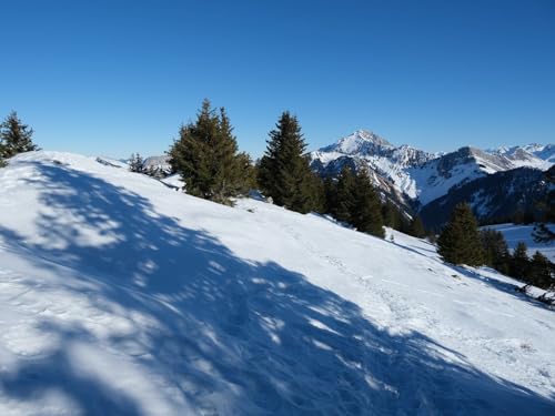 1000 Teile Puzzle,Geschicklichkeitsspiel für die ganze Familie,-Schnee, Bäume, Berge 75x50cm 1000 Teile Puzzle,Geschicklichkeitsspiel für die ganze Familie,-Schnee, Bäume, Berge 75x50cm von FRUKAT
