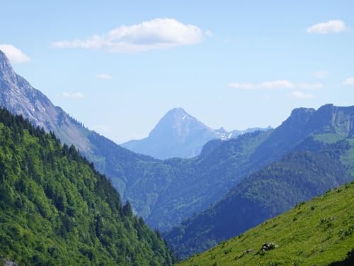 1000 Teile Puzzle,Geschicklichkeitsspiel für die ganze Familie-Hänge, Berge, Wälder, Landschaft 75x50cm 1000 Teile Puzzle,Geschicklichkeitsspiel für die ganze Familie-Hänge, Berge, Wälder, Landschaft 75x50cm von FRUKAT