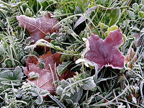 1000 Teile Puzzle,Impossible Puzzle,Puzzle-Geschenk, Frosts Earth Frost 75x50cm von FRUKAT