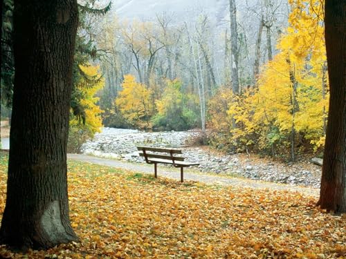 1000 Teile Puzzle,Impossible Puzzle für Kleinkinder Jungen Mädchen 14 Jahre alt-Bank, Park, Herbst 75x50cm 1000 Teile Puzzle,Impossible Puzzle für Kleinkinder Jungen Mädchen 14 Jahre alt-Bank, Park, Herbst 75x50cm von FRUKAT