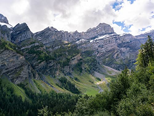 1000 Teile Puzzle,Lernen Pädagogische Puzzle Spielzeug - Berge Hang Bäume 75x50cm von FRUKAT
