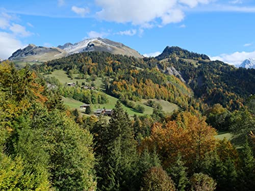 1000 Teile Puzzle,Lernen Pädagogische Puzzle Spielzeug - Berggipfel 75x50cm 1000 Teile Puzzle,Lernen Pädagogische Puzzle Spielzeug - Berggipfel 75x50cm von FRUKAT
