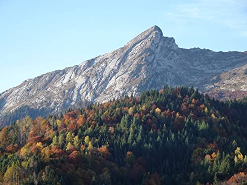 1000 Teile Puzzle,Lernen Pädagogische Puzzle Spielzeug - Berghangwälder 75x50cm 1000 Teile Puzzle,Lernen Pädagogische Puzzle Spielzeug - Berghangwälder 75x50cm von FRUKAT