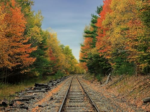 1000 Teile Puzzle,Lernen Pädagogische Puzzle Spielzeug - Eisenbahn Straße Wälder 75x50cm von FRUKAT
