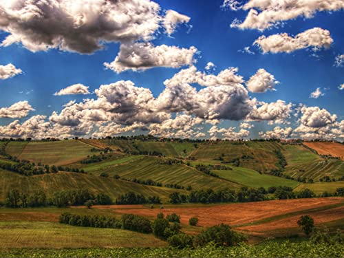 1000 Teile Puzzle,Lernen Pädagogische Puzzle Spielzeug - Grasfeld Himmel 75x50cm 1000 Teile Puzzle,Lernen Pädagogische Puzzle Spielzeug - Grasfeld Himmel 75x50cm von FRUKAT