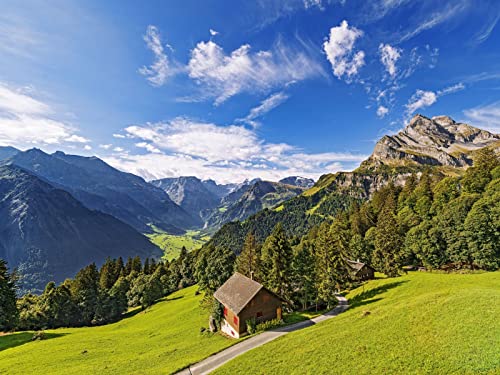 1000 Teile Puzzle,Lernen Pädagogische Puzzle Spielzeug - Haus Bäume Berge 75x50cm von FRUKAT