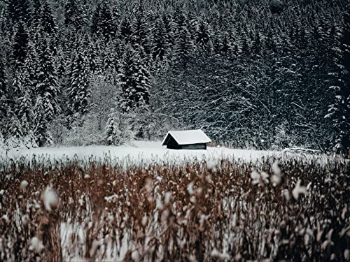 1000 Teile Puzzle,Lernen Pädagogische Puzzle Spielzeug - Haus Wälder Schnee 75x50cm von FRUKAT