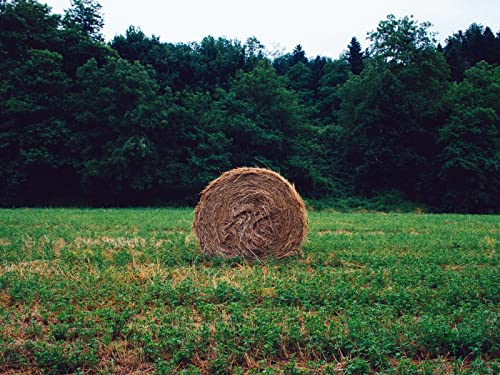 1000 Teile Puzzle,Lernen Pädagogische Puzzle Spielzeug - Heu Gras Wälder 75x50cm 1000 Teile Puzzle,Lernen Pädagogische Puzzle Spielzeug - Heu Gras Wälder 75x50cm von FRUKAT