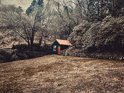 1000 Teile Puzzle,Lernen Pädagogische Puzzle Spielzeug - Home Nature Alone 75x50cm von FRUKAT