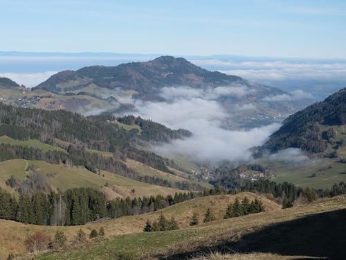 1000 Teile Puzzle,Lernen Pädagogische Puzzle Spielzeug -Hügel, Bäume, Nebel 75x50cm 1000 Teile Puzzle,Lernen Pädagogische Puzzle Spielzeug -Hügel, Bäume, Nebel 75x50cm von FRUKAT
