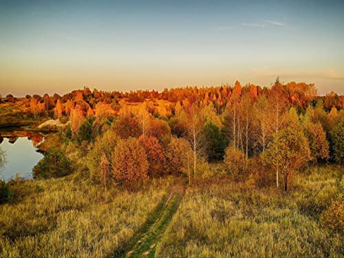 1000 Teile Puzzle,Lernen Pädagogische Puzzle Spielzeug - Rasenbäume Herbst 75x50cm von FRUKAT