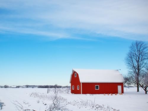 1000 Teile Puzzle,Lernen Pädagogische Puzzle Spielzeug -Scheune, Winter, Himmel 75x50cm 1000 Teile Puzzle,Lernen Pädagogische Puzzle Spielzeug -Scheune, Winter, Himmel 75x50cm von FRUKAT