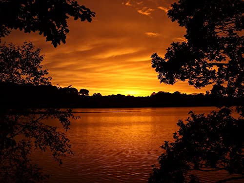 1000 Teile Puzzle,Lernen Pädagogische Puzzle Spielzeug - See Baum Sonnenuntergang 75x50cm von FRUKAT