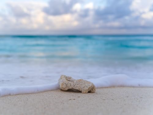 1000 Teile Puzzle,Lernen Pädagogische Puzzle Spielzeug -Strand, Stein, Schaum 75x50cm 1000 Teile Puzzle,Lernen Pädagogische Puzzle Spielzeug -Strand, Stein, Schaum 75x50cm von FRUKAT