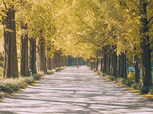 1000 Teile Puzzle,Lernen Pädagogische Puzzle Spielzeug - Straße Weg Gasse 75x50cm von FRUKAT