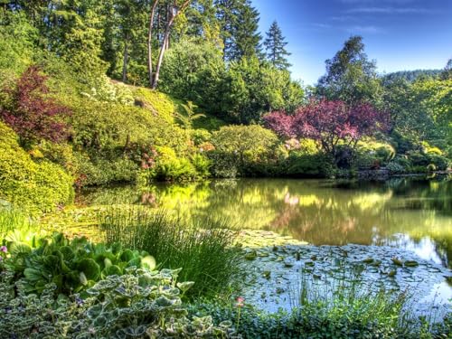 1000 Teile Puzzle,Lernen Pädagogische Puzzle Spielzeug - Teichgartenvegetation 75x50cm von FRUKAT