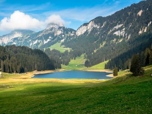 1000 Teile Puzzle,Lernen Pädagogische Puzzle Spielzeug - Teichtalwälder 75x50cm 1000 Teile Puzzle,Lernen Pädagogische Puzzle Spielzeug - Teichtalwälder 75x50cm von FRUKAT