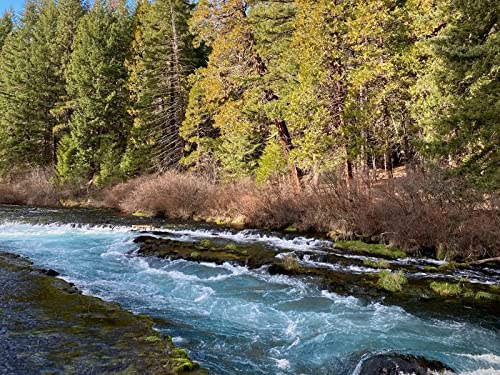 1000 Teile Puzzle,Lernen Pädagogische Puzzle Spielzeug - Wälder Bäume Fluss 75x50cm 1000 Teile Puzzle,Lernen Pädagogische Puzzle Spielzeug - Wälder Bäume Fluss 75x50cm von FRUKAT