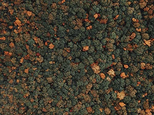 1000 Teile Puzzle,Lernen Pädagogische Puzzle Spielzeug - Wälder Bäume Luftaufnahme 75x50cm von FRUKAT