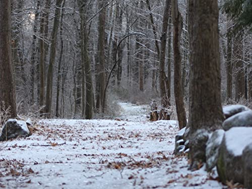 1000 Teile Puzzle,Lernen Pädagogische Puzzle Spielzeug - Wälder Pfad Schnee 75x50cm 1000 Teile Puzzle,Lernen Pädagogische Puzzle Spielzeug - Wälder Pfad Schnee 75x50cm von FRUKAT