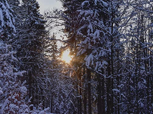 1000 Teile Puzzle,Lernen Pädagogische Puzzle Spielzeug - Wälder Sonnenuntergang 75x50cm von FRUKAT