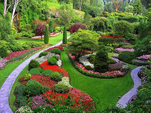 1000 Teile Puzzle,Puzzle für Erwachsene,Farbenfrohes Legespiel - Garten Fußwege Blumen 75x50cm von FRUKAT