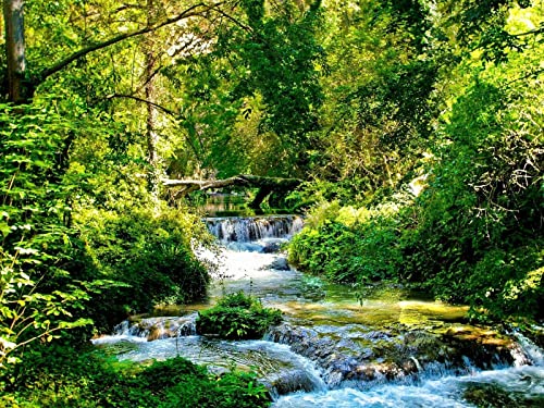 1000 Teile Puzzle,Puzzle für Erwachsene,Puzzle Farbenfrohes - Fluss Holz Grün 75x50cm 1000 Teile Puzzle,Puzzle für Erwachsene,Puzzle Farbenfrohes - Fluss Holz Grün 75x50cm von FRUKAT