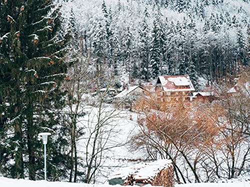 1000 Teile Puzzle,Puzzle für Erwachsene,Puzzle Farbenfrohes - Häuser Bäume Schnee 75x50cm von FRUKAT