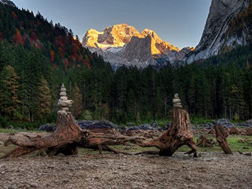 1000 Teile Puzzle,Puzzle für Erwachsene,Puzzle Farbenfrohes - Wälder Berge Treibholz 75x50cm 1000 Teile Puzzle,Puzzle für Erwachsene,Puzzle Farbenfrohes - Wälder Berge Treibholz 75x50cm von FRUKAT