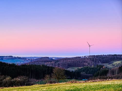 1000 Teile Puzzle Farbenfrohes Puzzle für Erwachsene und Kinder - Wälder Bäume Windgenerator 75x50cm von FRUKAT