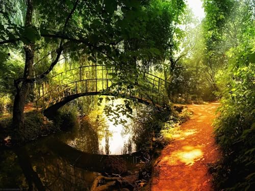 1000 Teile Puzzle ab 14 Jahren,buntes Erwachsenenpuzzle -Brücke, Park, Fluss 75x50cm 1000 Teile Puzzle ab 14 Jahren,buntes Erwachsenenpuzzle -Brücke, Park, Fluss 75x50cm von FRUKAT