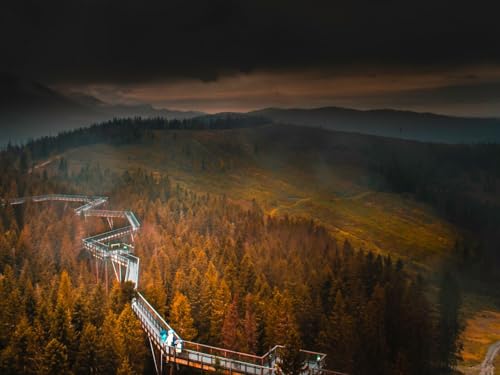 1000 Teile Puzzle farbenfrohes Puzzle für Erwachsene und Kinder -Brücke, Berge, Nebel 75x50cm von FRUKAT