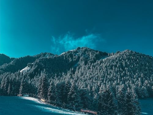 1000 Teile Puzzle für Erwachsene und Kinder ab 14 Jahren - Berge Schnee Bäume 75x50cm von FRUKAT