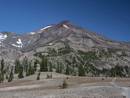1000 Teile Puzzle für Erwachsene und Kinder ab 14 Jahren - Berggipfelbäume 75x50cm 1000 Teile Puzzle für Erwachsene und Kinder ab 14 Jahren - Berggipfelbäume 75x50cm von FRUKAT