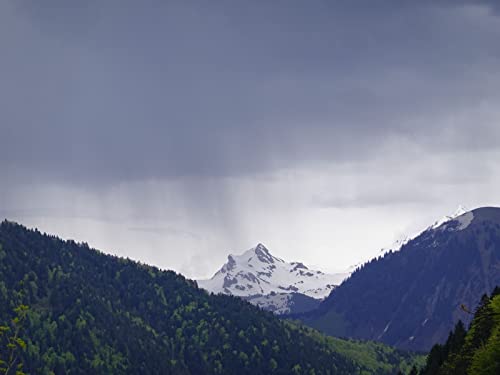 1000 Teile Puzzle für Erwachsene und Kinder ab 14 Jahren - Berggipfelwälder 75x50cm von FRUKAT