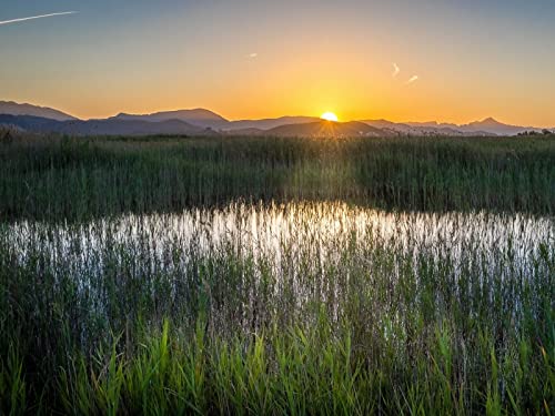 1000 Teile Puzzle für Erwachsene und Kinder ab 14 Jahren - Grasfeldberge 75x50cm 1000 Teile Puzzle für Erwachsene und Kinder ab 14 Jahren - Grasfeldberge 75x50cm von FRUKAT