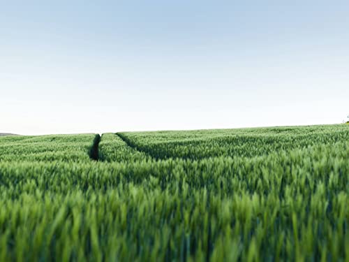 1000 Teile Puzzle für Erwachsene und Kinder ab 14 Jahren - Grasfeldstraße 75x50cm von FRUKAT