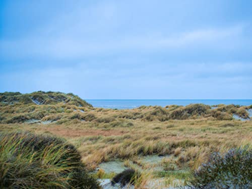 1000 Teile Puzzle für Erwachsene und Kinder ab 14 Jahren - Grasküstenmeer 75x50cm 1000 Teile Puzzle für Erwachsene und Kinder ab 14 Jahren - Grasküstenmeer 75x50cm von FRUKAT