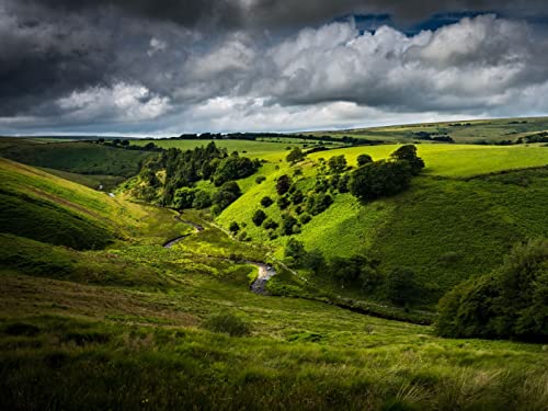 1000 Teile Puzzle für Erwachsene und Kinder ab 14 Jahren - Hügelbuschstraße 75x50cm von FRUKAT