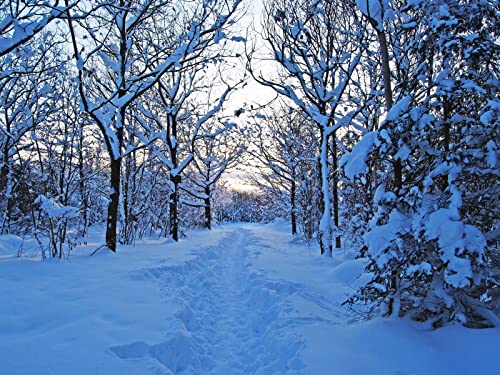 1000 Teile Puzzle für Erwachsene und Kinder ab 14 Jahren - Morgenschnee 75x50cm 1000 Teile Puzzle für Erwachsene und Kinder ab 14 Jahren - Morgenschnee 75x50cm von FRUKAT