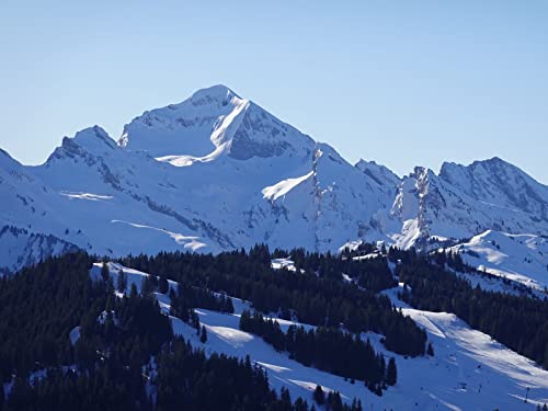 1000 Teile Puzzle für Erwachsene und Kinder ab 14 Jahren Puzzle für Wohnkultur - Berggipfelschnee 75x50cm 1000 Teile Puzzle für Erwachsene und Kinder ab 14 Jahren Puzzle für Wohnkultur - Berggipfelschnee 75x50cm von FRUKAT