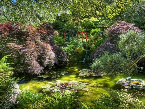 1000 Teile Puzzle für Erwachsene und Kinder ab 14 Jahren Puzzle für Wohnkultur - Teichbrückenvegetation 75x50cm 1000 Teile Puzzle für Erwachsene und Kinder ab 14 Jahren Puzzle für Wohnkultur - Teichbrückenvegetation 75x50cm von FRUKAT