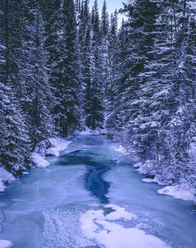 1000 Teile Puzzle für Erwachsene und Kinder ab 14 Jahren-Wälder, Winter, Fluss 70x50cm von FRUKAT