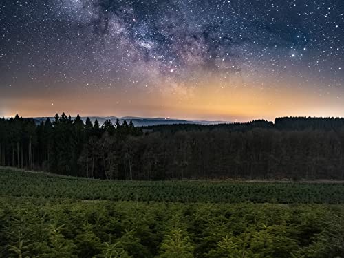 1000 Teile Puzzle für Erwachsene und Kinder ab 14 Jahren - Wälder Sternenhimmel Bäume 75x50cm von FRUKAT