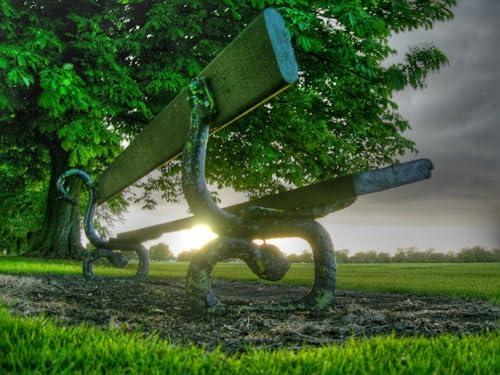 1000 Teile erwachsenenpuzzle ab 14 Jahren, Bank, Park, Baum 75x50cm von FRUKAT