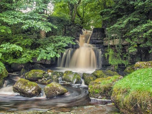 1000 Teile erwachsenenpuzzle ab 14 Jahren, Wasserfall, Felsen, Fluss, Bäume, Natur, Landschaft 75x50cm 1000 Teile erwachsenenpuzzle ab 14 Jahren, Wasserfall, Felsen, Fluss, Bäume, Natur, Landschaft 75x50cm von FRUKAT