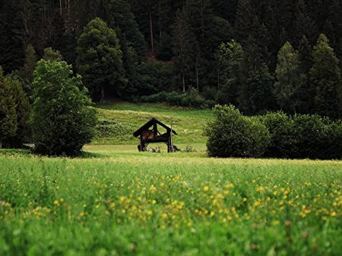 1500 Stück Puzzles für Kinder im Alter von 14 Jahren, Hütte Büsche Gras 87x57cm von FRUKAT