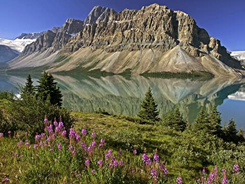 1500 Teile Erwachsenenpuzzle ab 14 Jahren, Berge Blumen See 87x57cm von FRUKAT
